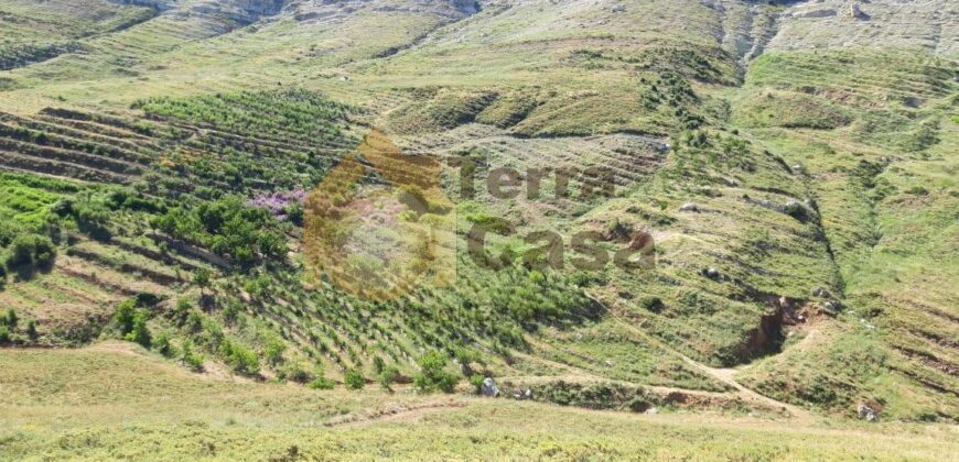 land with a panoramic view in tannourine for sale