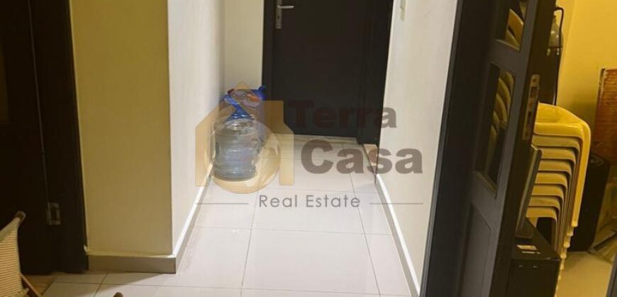 apartment in mansourieh for rent