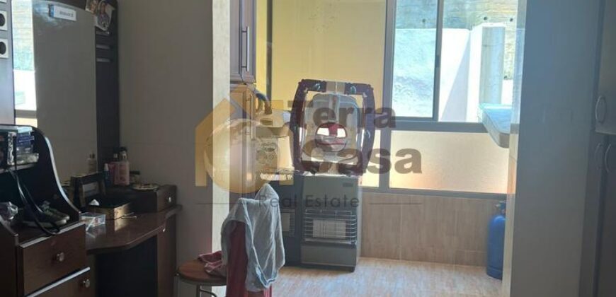 apartment in mansourieh for rent