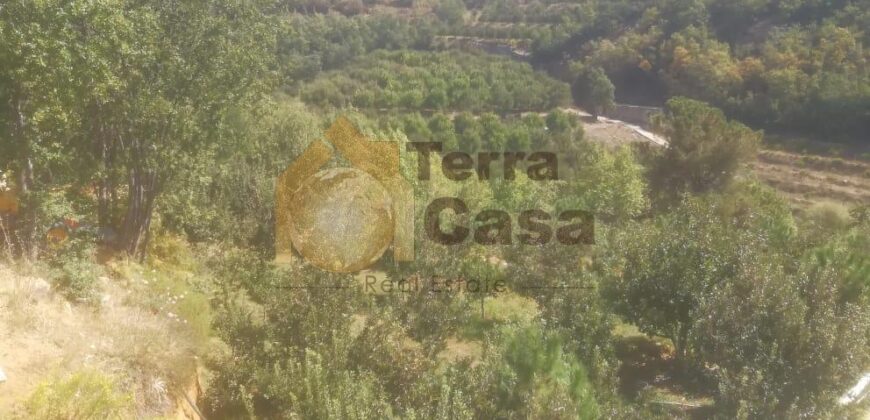 land in kfardebian with a nice view for sale