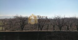 industrial land prime location zone G.