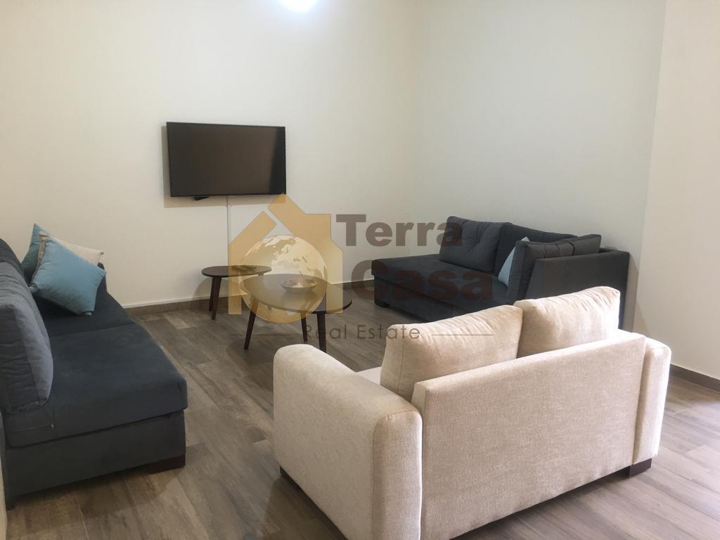 modern apartment with private garden and swimming pool for rent