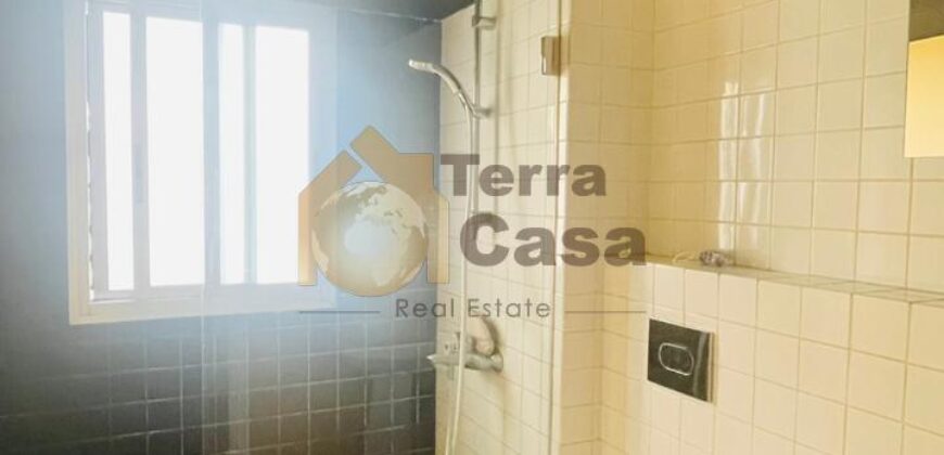 fully furnished apartment in saifi for rent