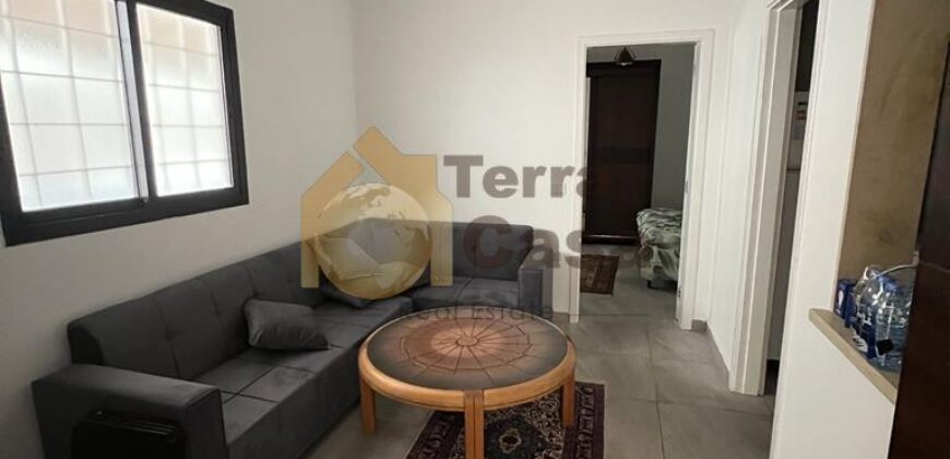 fully furnished and renovated apartment in achrafieh sassine for sale