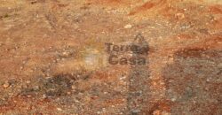 Ksara prime location 1300 sqm land for sale