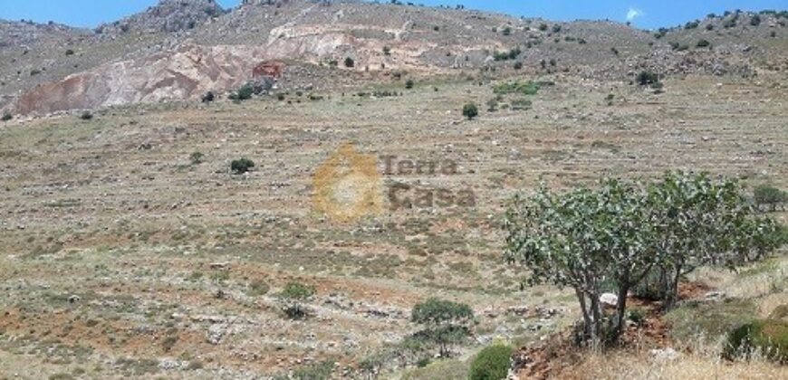 land for sale in zahle  touaite with open view .