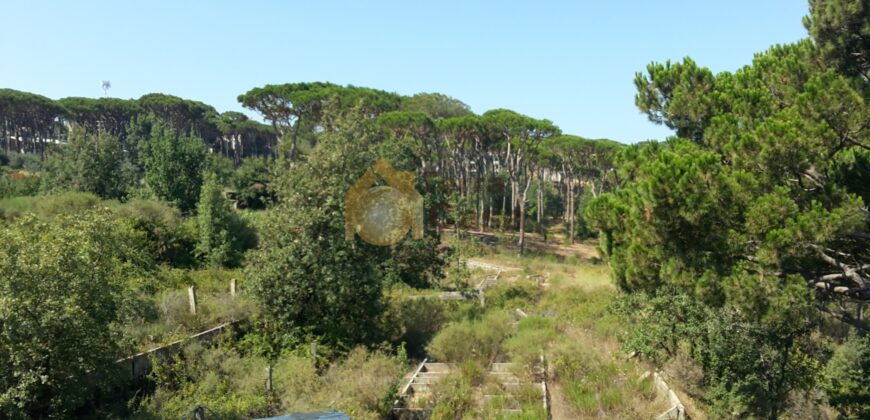 apartment for sale banker cheque with panoramic view .Ref#469