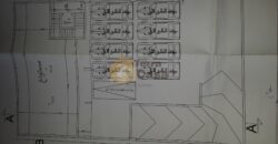 Madinat el sinayia Industrial building for sale .