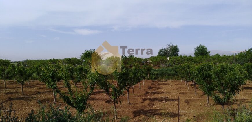 Zahle haouch el omara land for rent .