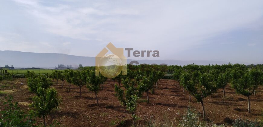 Zahle haouch el omara land for rent .