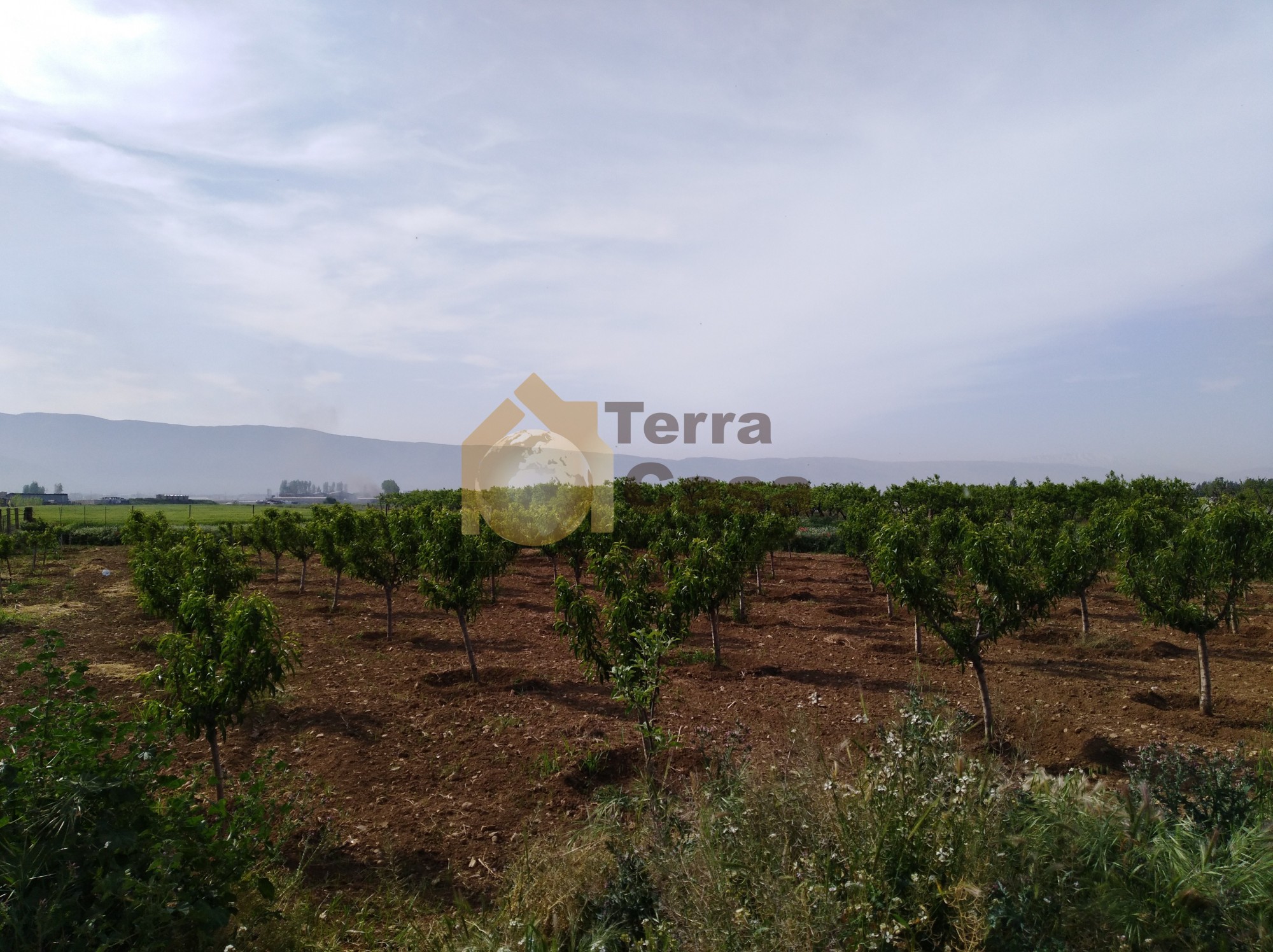 Zahle haouch el omara land for rent .