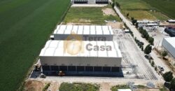 zahle warehouse for rent high end specifications.
