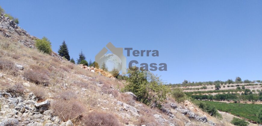 zahle wadi el arayesh land for sale . Ref#608